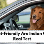How Pet-Friendly Are Indian Cars? A Real Test